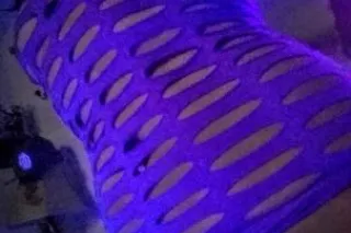 HELLO GONZALES - Image 5