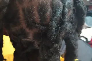 BIG JUICY JUICE SPECIAL HALF AN HOUR FOR COME WITH TWO NUTS AND A MASSAGE $120 QUICK VISITS BETWEEN $70 and $80 and $90 I'M NOT DOING NO 60 DOLLARS NO OUTCALL IAM ONLY DOING INCALLS CASH ONLY CASH ONLY - Image 12